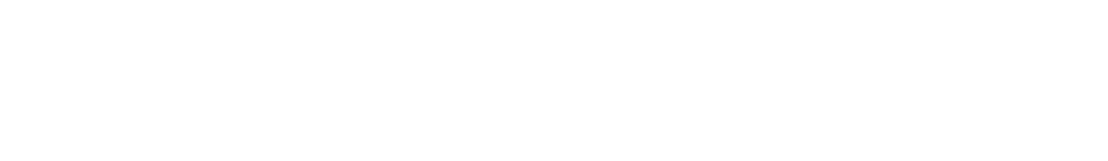 future minds logo lang