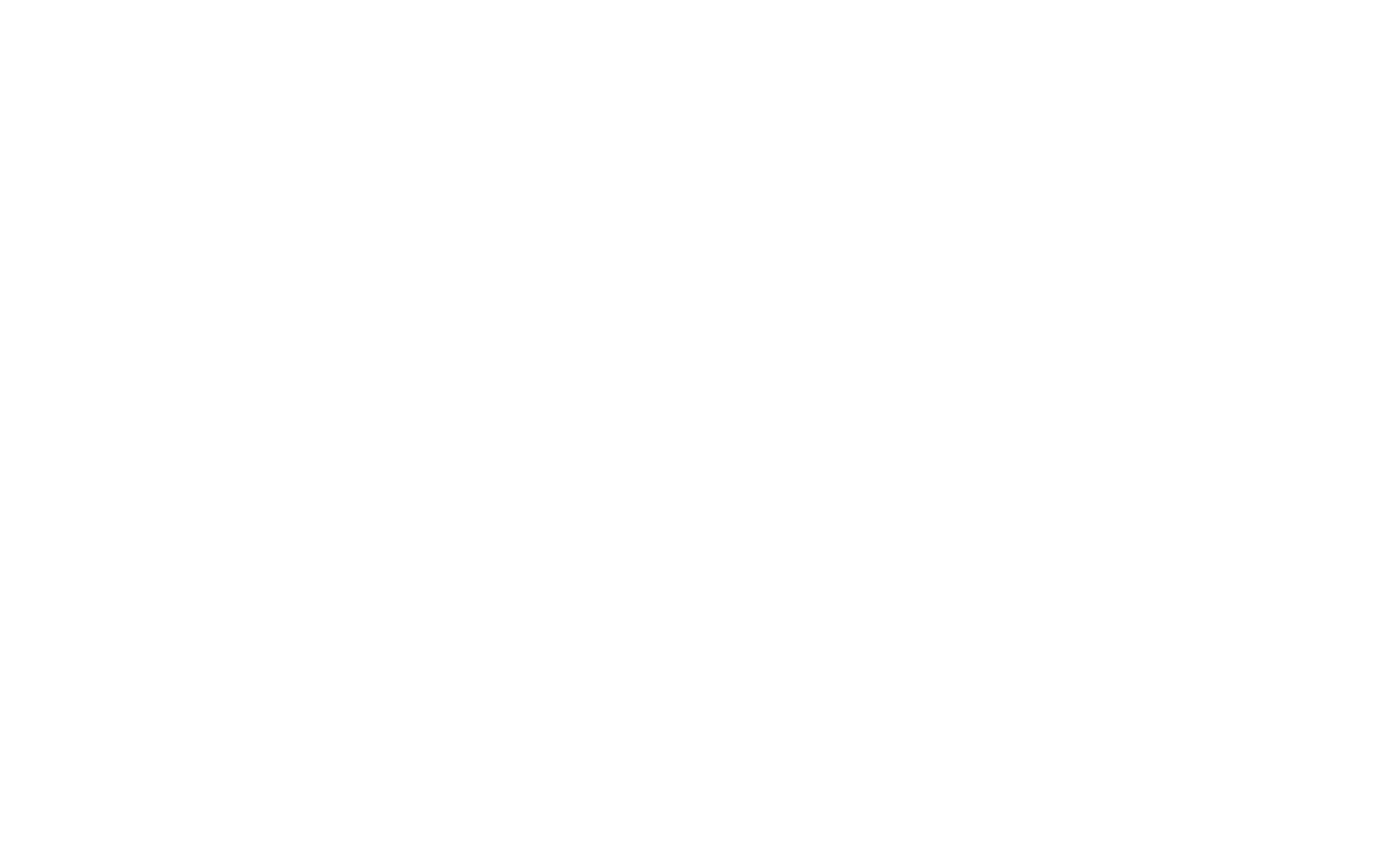 rock langlogo weiß